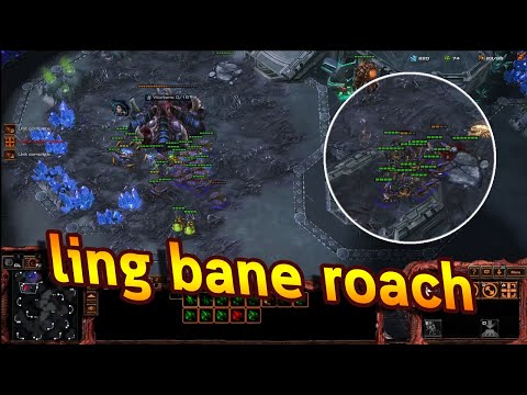 Starcraft2 zergden ZvZ 1 base all in ling bane roach