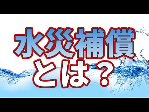 家庭用プールと庭の保険について知っておくべきことすべて  庭園