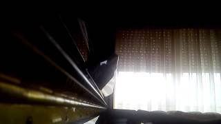 Dame 3 días Pignoise (piano)