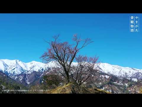 【4K空撮】22小国町樽口峠からの飯豊連峰の大パノラマ〈やまがた景観物語〉