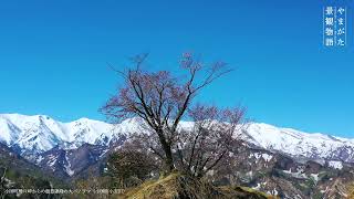 飯豊山