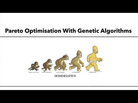 Intro Into Multi Objective Optimization