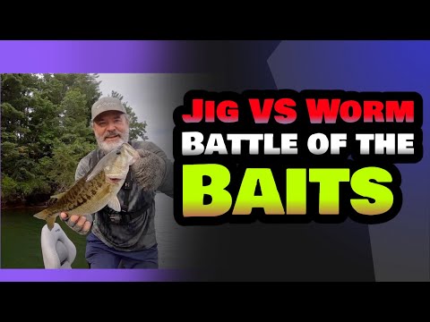 Jig vs Worm, Which One Is Best?