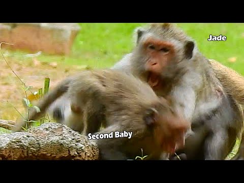 Jade Fight Second Baby Cos She Hurt And Bore Jinx During Provide Milk