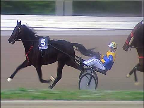 Trotto 08/12/2019 - 1ª corsa