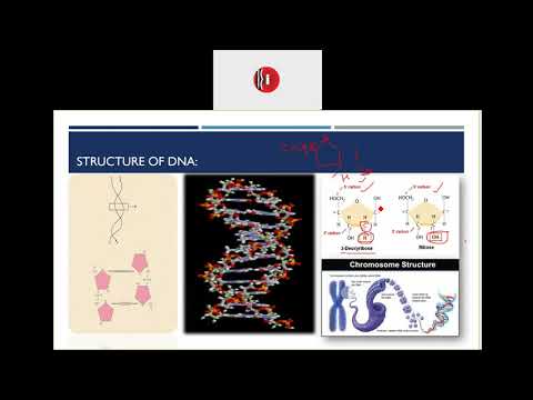 DNA #Bio Tech #FREE LIVE CLASSES OF MPPSC by KOTHARI INSTITUTE,INDORE