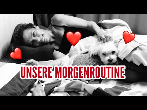 🚐Unsere Morgenroutine - Leben im Van