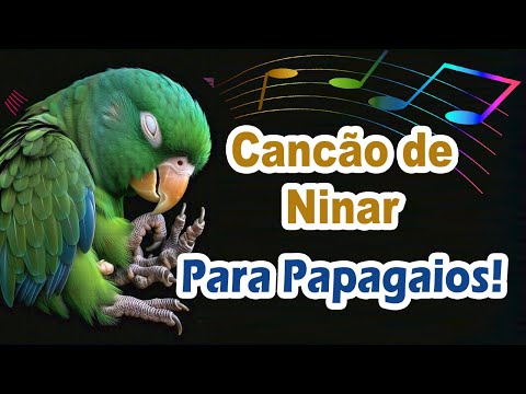 Assobio papagaio - assobio canção de ninar para treinar papagaio