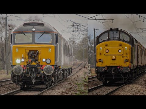 Madness at Kiln Lane, Ely | 04/03/2021 & 05/03/2021 | 37s & 57s! | ft. Broad Paul