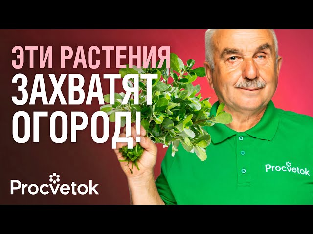 Растения АГРЕССОРЫ, от которых вы не избавитесь НИКОГДА!
