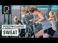 PureGym Classes | Sweat
