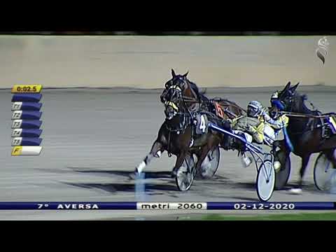 Aversa trotto 2 Dicembre 2020 - 7° Corsa