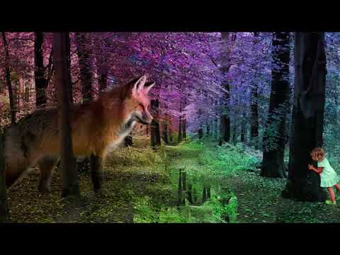 🌠 Lapsille - Metsätontut