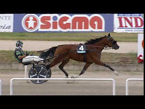 Napoli Trotto 21/09/2023 - 4ª corsa