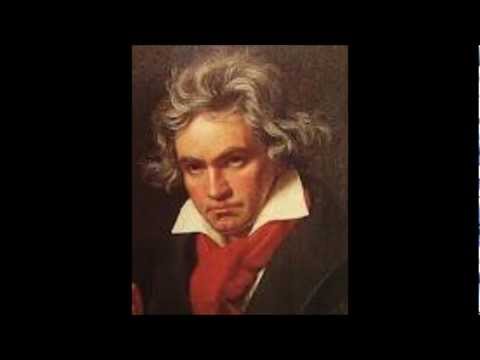 Marcha Turca - Beethoven.wmv