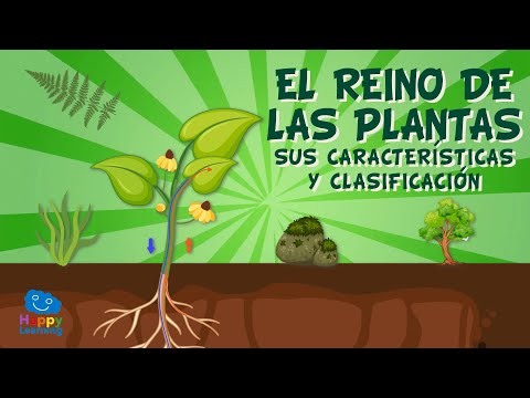 , title : 'El reino de las plantas. Sus características y clasificación | Vídeos Educativos para Niños'