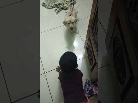 Kruthik VS Roshan 🤣🤣🤣 Kruthik winner 🏆🏆🏆