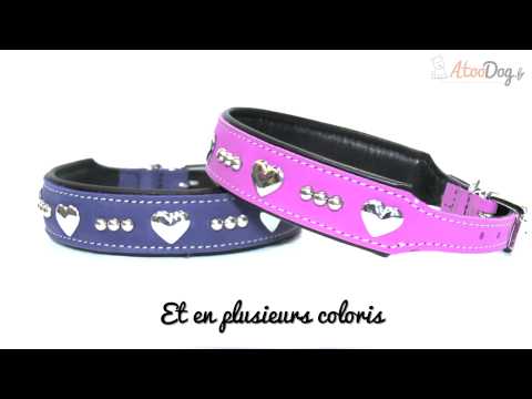 download lagu mp3 mp4 Collier Chien Cuir Rouge, download lagu Collier Chien Cuir Rouge gratis, unduh video klip Collier Chien Cuir Rouge