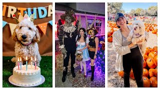 Week in my Life | Holly's 1st Pumpkin Patch + Brian & Hailey's Halloween Party!