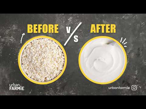 The Cottage Cheese Recipe You Never Knew You Needed!