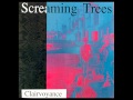 Screaming trees Orange Airplane