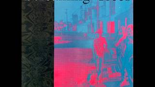 Screaming trees Orange Airplane