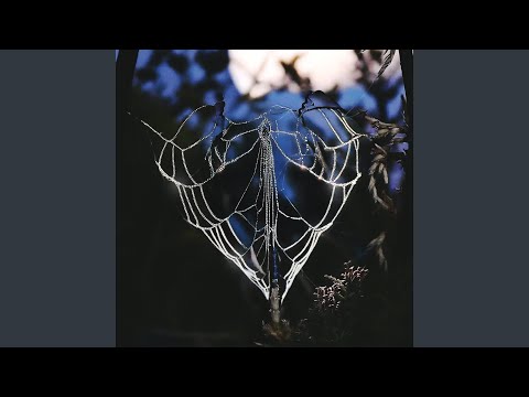 Mercoledì Mai - Mew