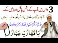 Surah Fil سورۃ الفیل Summun Bukmun Umyun Fahum Layarjiun 3 Din Mien Dushman Pagal