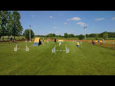 Kraft Vizsga Tárnok - A1 Agility 2 futam Dorka