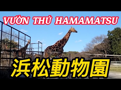 浜松動物園 | 浜松フラワーパーク | Hamamatsu Flower Park | Vườn thú Hamamatsu Nhật Bản
