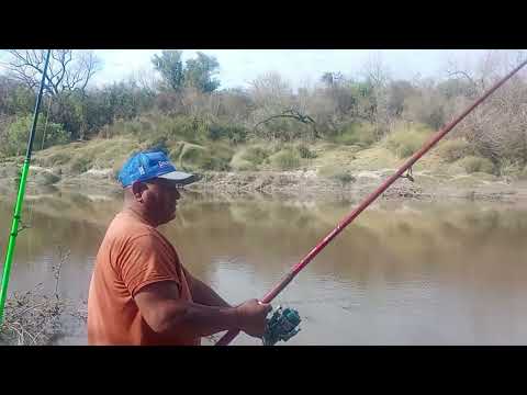 Pesca en sauce  de luna 