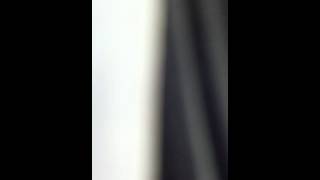 Red White & Blue Collar