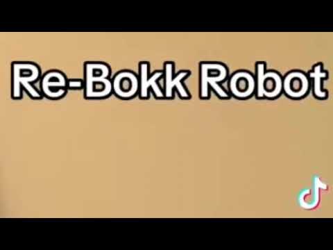 Re bokk robot playlas