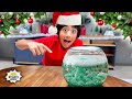 Top 3 Holiday Christmas Science Experiments for kids with Ryan's World