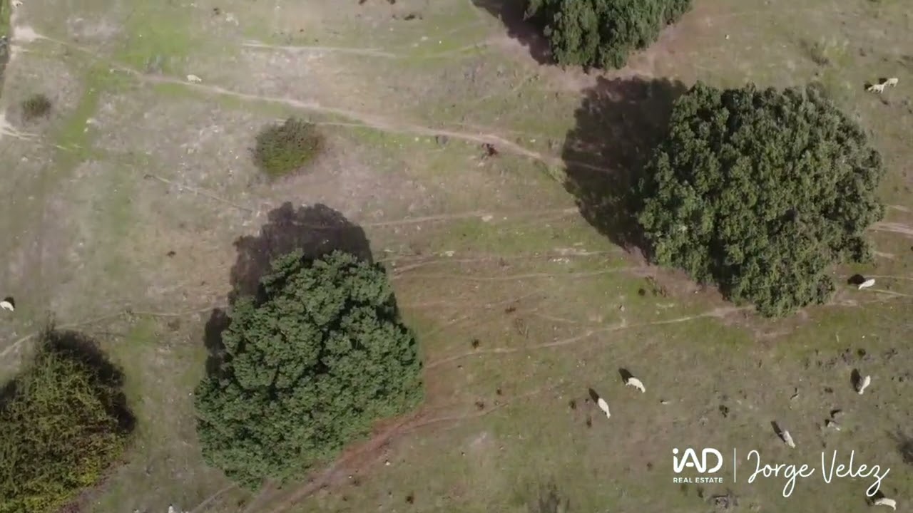 Vídeo do imóvel