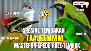 Download lagu TEMBAKAN KASARAN-MENJERIT || BESETAN TAJEM - CUNGKOK GEREJA TARUNG - TEPUS || KUNTI MENJERIT PANJANG mp3 Download lagu TEMBAKAN KASARAN-MENJERIT || BESETAN TAJEM - CUNGKOK GEREJA TARUNG - TEPUS || KUNTI MENJERIT PANJANG mp3