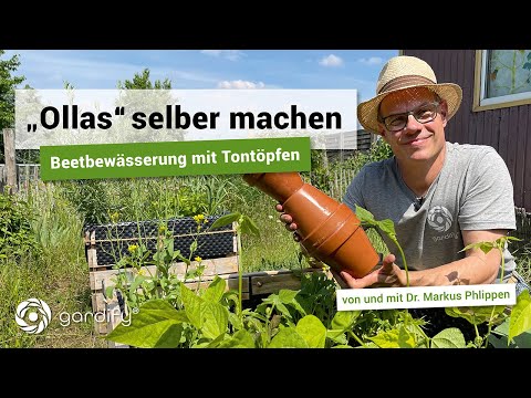 Ollas selber bauen und Wasser sparen: Gartenbewässerung mit Tontöpfen