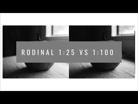 Rodinal 1:25 vs. 1:100