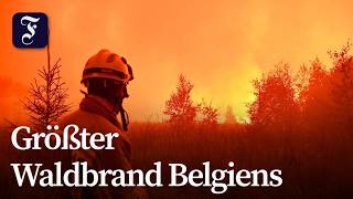 500 Einsatzkräfte kämpfen gegen die Flammen