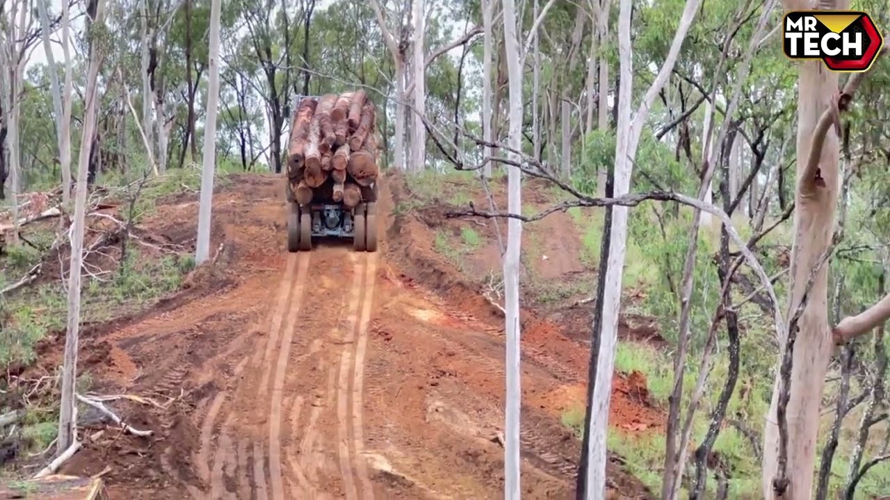 Extreme Dangerous Fastest Big Chainsaw Cutting Tree Machines | Biggest Heavy Equipment Machines #6