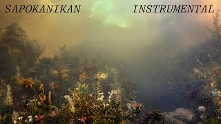 Sapokanikan (instrumental cover) - Joanna Newsom