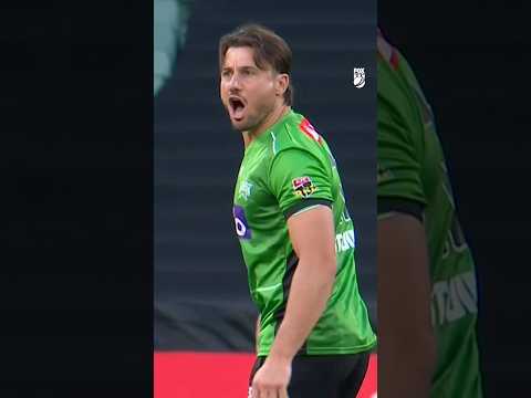 “NO RUN!” 😆 Not sure if it’s Marcus or Marnus out there… #BBL15 #cricket #bigbash