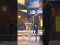 War 2 Entry Scene Hritik Roshan Attitude Entry Status Katil Words Hritikroshan War2 Jnrntr