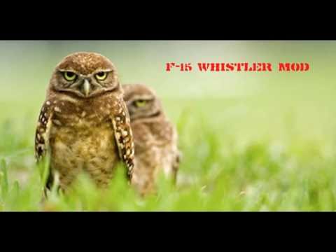 Freewing F-15 Final Test with 6 whistles