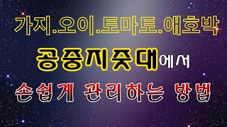 [텃밭농부.719]  가지 토마토 애호박 공중지줏대 활용법 #공중지줏대