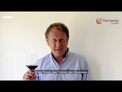 Introduction by Stéphane Meulemans - Fermentis - GOODNEWS Online #01