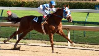 Grupo laberinto  la coqueta
