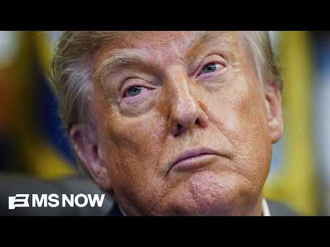 'It's doesn't matter who pays for the damn ads!': Steele on how unhappy voters are with Trump