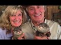 Jack Hanna S Long Goodbye How Alzheimer S Is Stripping Away The Man The World Once Knew