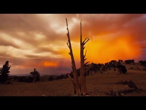 Y me llega el amor - Darwin Grajales